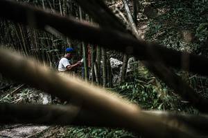 BIB: 
                            <button type="button" onclick="openModal(22241989)" class="btn btn-primary btn-sm float-right btn-popup" data-toggle="modal" data-target=".modal-high-quality">
                        <i class="fas fa-shopping-cart"></i> Add to Cart
                    </button>
                                            <button type="button" onclick="isThisMe(22241989, true)" class="btn btn-success btn-sm float-right btn-popup btn-isme hidden" data-toggle="tooltip" data-placement="bottom" title="นี่คือรูปของคุณใช่ไหม คลิกที่นี่เพื่อเอาเข้าอัลบั้ม">
                        <i class="fas fa-plus"></i> Add to album
                    </button>
                    <button type="button" onclick="isThisMe(22241989, false)" class="btn btn-warning btn-sm float-right btn-popup btn-isnotme hidden">
                        <i class="fas fa-ban"></i> Remove from album
                    </button>